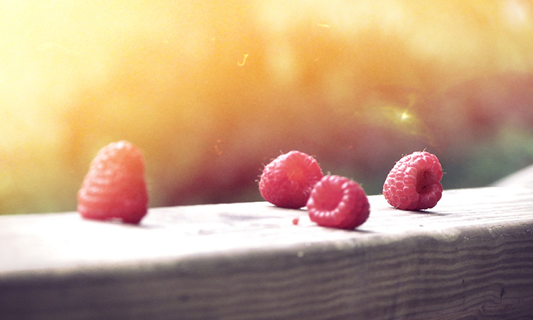 Berries