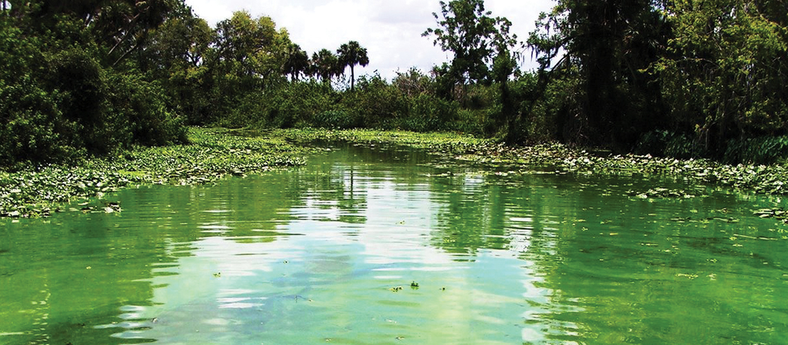 EAA Canal